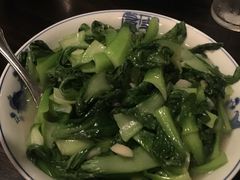 -倾城