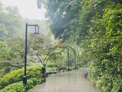 -岳麓山风景名胜区