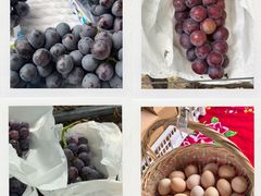 -马陆小张葡萄园农家乐