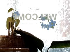 -星宙咖啡STELLARIS CAFE(广告产业园店)