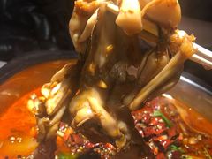 牛蛙-宽口美蛙鱼头(大唐西市店)