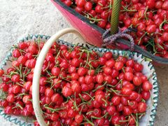 -龙口南山旅游景区