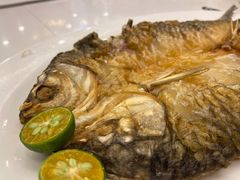 -金河半岛园林酒家(金融城店)