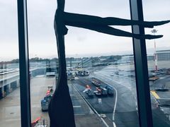 -米兰马尔彭萨国际机场