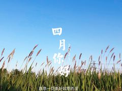 -上海辰山植物园
