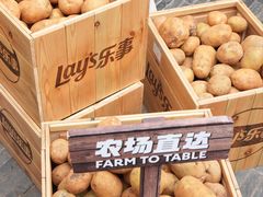 -Calix&Lay's(新天地店)
