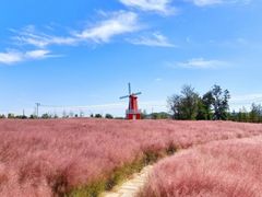 -羊亭河湿地公园