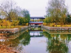 -张家湾公园