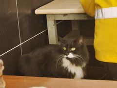 -二中酸辣汤(无锡梁溪区店)