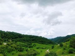 -关山草原