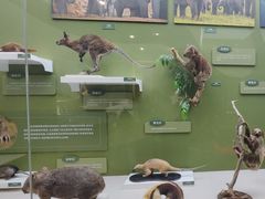 -国家自然博物馆