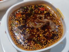 -川西坝子(老军营店)