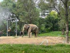 -北京野生动物园