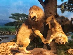 -国家自然博物馆