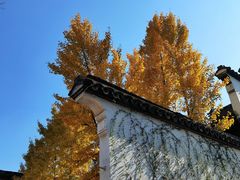 -惠山古镇·寄畅园