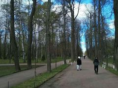 -滴血救世主教堂