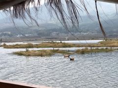 -腾冲北海湿地