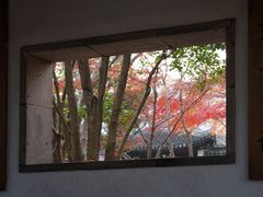 -秋霞圃