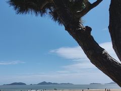 -普陀山风景名胜区-千步大沙