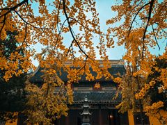 -西园戒幢律寺