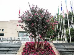-重庆工商大学(南岸校区)