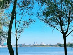 -北龙湖湿地公园