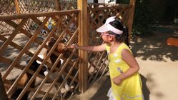 -萌宠亲子动物乐园(槐房万达店)