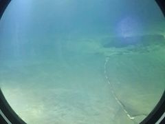 -白鹤梁水下博物馆