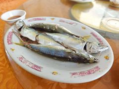 -汕尾风车岛