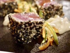 金枪鱼卷-Cera 23