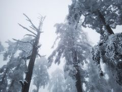-瓦屋山景区