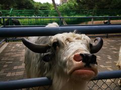 -长白岛森林公园