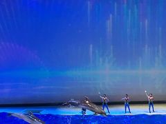 -上海海昌海洋公园