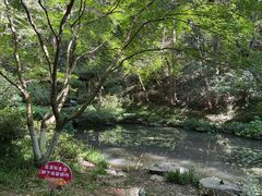 -宋宴(虎跑店)