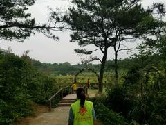 -牛鱼嘴原始生态风景区