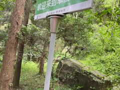 -狼山风景名胜区