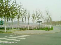 -天津现代职业技术学院