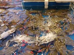 -川骄海鲜自助(河东店)
