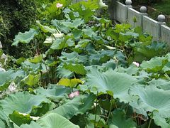 -丝绸小镇荻港古村