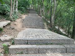-紫金山山顶公园
