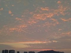-海豚湾扬帆出海帆船游艇