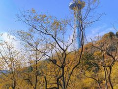 -青岛中山公园-索道售票处