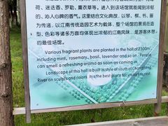 -上海都市菜园