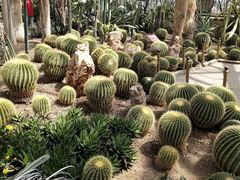 -北京植物园-展览温室