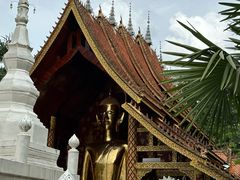 -西双版纳傣族园