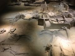 -洛阳周王城天子驾六博物馆