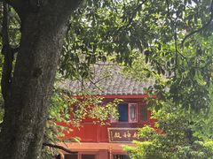-青城山