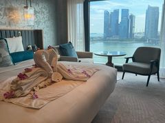 -新加坡文华东方酒店