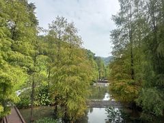 -云溪植物园