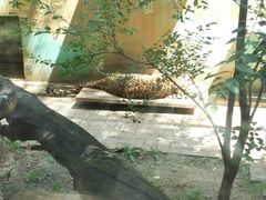 -青藏高原野生动物园